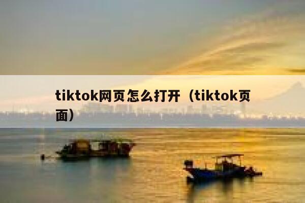 tiktok网页怎么打开（tiktok页面） 第1张