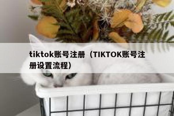 tiktok账号注册（TIKTOK账号注册设置流程） 第1张