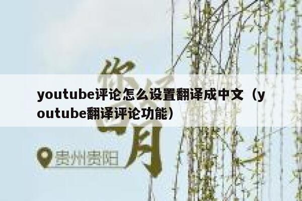 youtube评论怎么设置翻译成中文（youtube翻译评论功能） 第1张