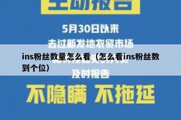 ins粉丝数量怎么看（怎么看ins粉丝数到个位） 第1张