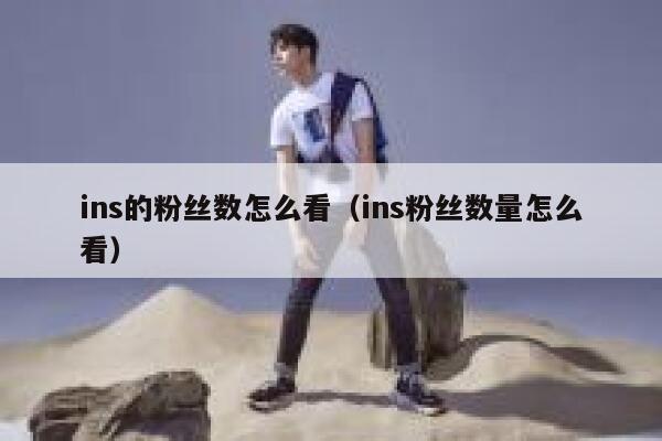 ins的粉丝数怎么看(ins粉丝数量怎么看) 第1张 ins的粉丝数怎么看(ins粉丝数量怎么看) 第1张