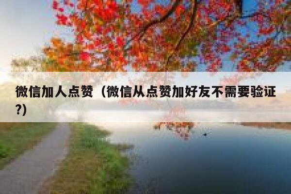 微信加人点赞（微信从点赞加好友不需要验证?） 第1张