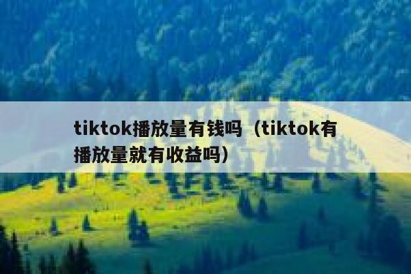 tiktok播放量有钱吗（tiktok有播放量就有收益吗） 第1张
