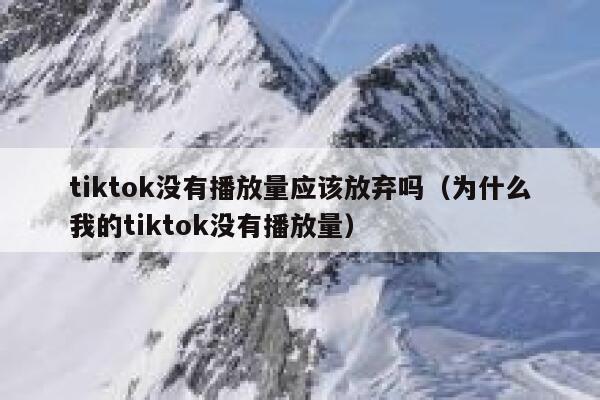 tiktok没有播放量应该放弃吗（为什么我的tiktok没有播放量） 第1张