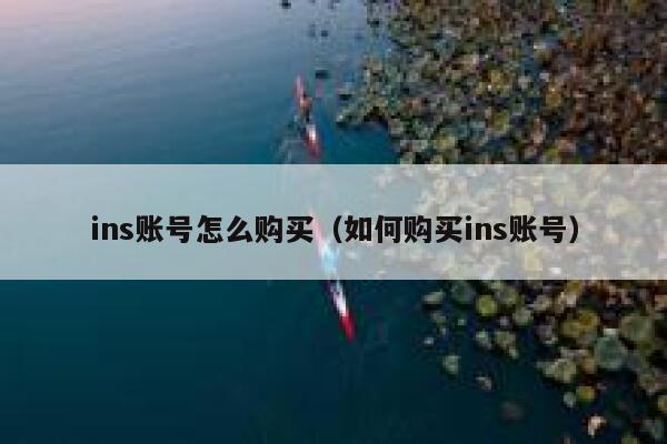 ins账号怎么购买（如何购买ins账号） 第1张