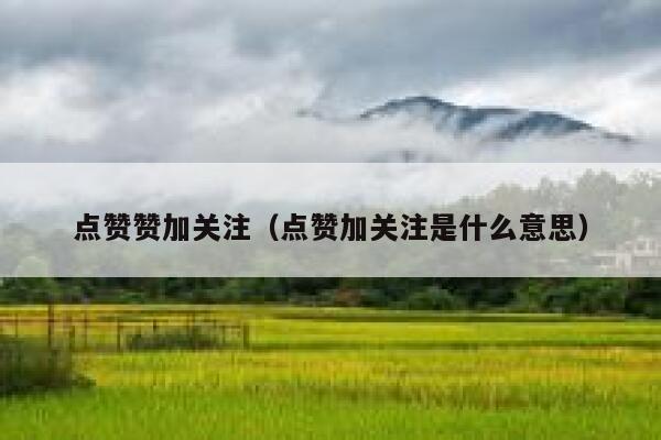 点赞赞加关注（点赞加关注是什么意思） 第1张