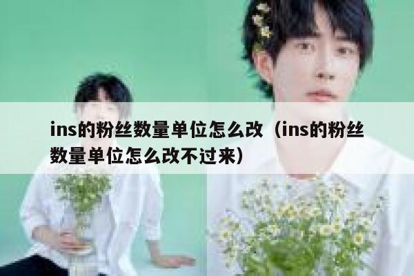 ins的粉丝数量单位怎么改(ins的粉丝数量单位怎么改不过来) 第1张 ins的粉丝数量单位怎么改(ins的粉丝数量单位怎么改不过来) 第1张