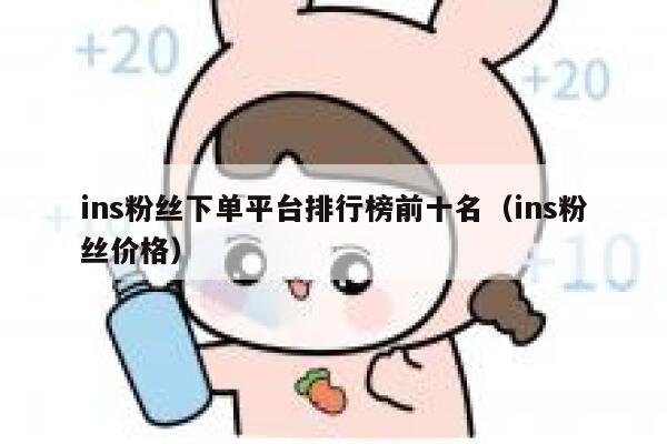 ins粉丝下单平台排行榜前十名（ins粉丝价格） 第1张