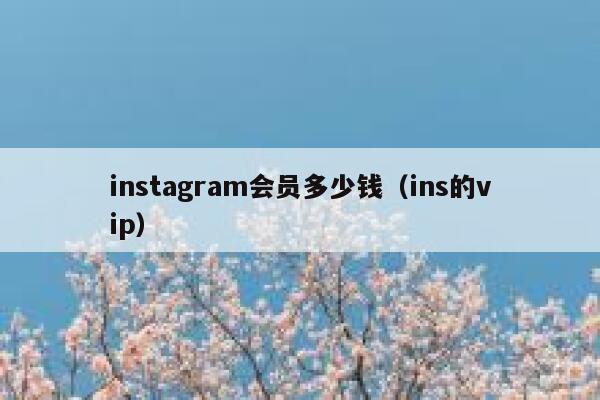 instagram会员多少钱（ins的vip） 第1张