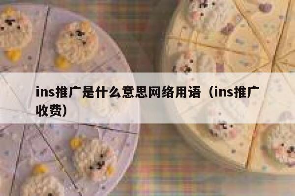 ins推广是什么意思网络用语(ins推广收费) 第1张 ins推广是什么意思网络用语(ins推广收费) 第1张