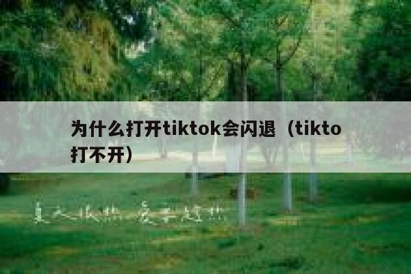 为什么打开tiktok会闪退（tikto打不开） 第1张