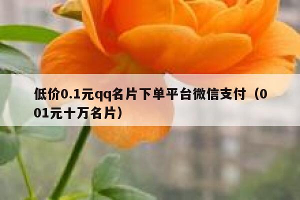 低价0.1元qq名片下单平台微信支付（001元十万名片） 第1张