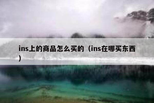 ins上的商品怎么买的(ins在哪买东西) 第1张 ins上的商品怎么买的(ins在哪买东西) 第1张