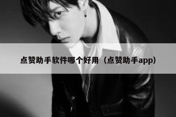 点赞助手软件哪个好用(点赞助手app) 第1张 点赞助手软件哪个好用(点赞助手app) 第1张