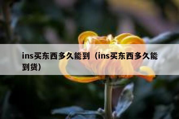 ins买东西多久能到（ins买东西多久能到货） 第1张