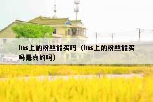 ins上的粉丝能买吗(ins上的粉丝能买吗是真的吗) 第1张 ins上的粉丝能买吗(ins上的粉丝能买吗是真的吗) 第1张