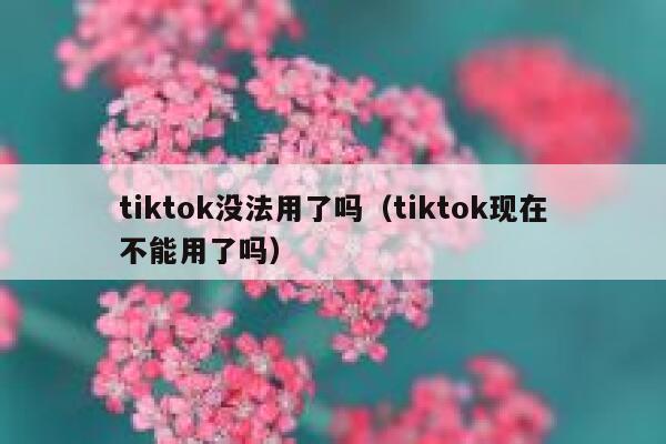 tiktok没法用了吗（tiktok现在不能用了吗） 第1张