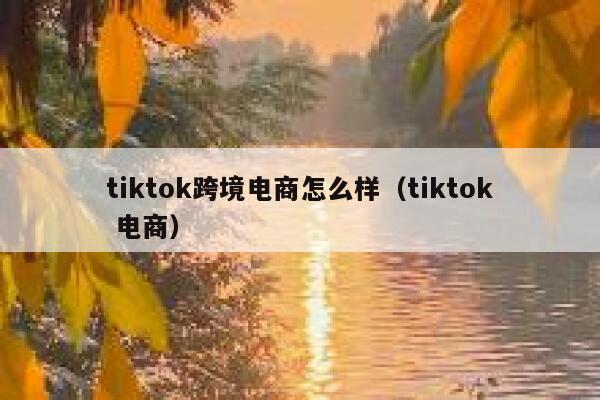 tiktok跨境电商怎么样（tiktok 电商） 第1张