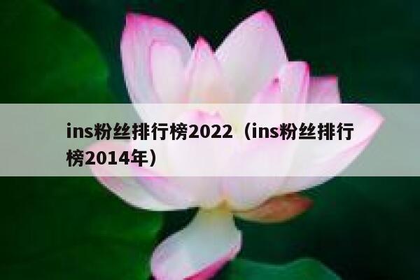 ins粉丝排行榜2022(ins粉丝排行榜2014年) 第1张 ins粉丝排行榜2022(ins粉丝排行榜2014年) 第1张