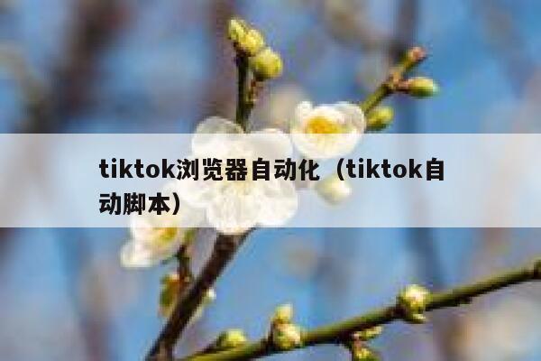 tiktok浏览器自动化(tiktok自动脚本) 第1张 tiktok浏览器自动化(tiktok自动脚本) 第1张