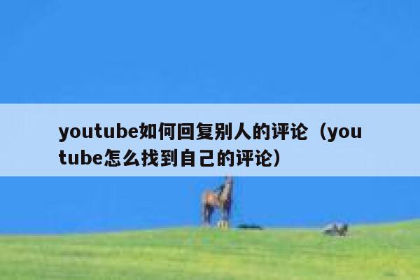 youtube如何回复别人的评论（youtube怎么找到自己的评论） 第1张