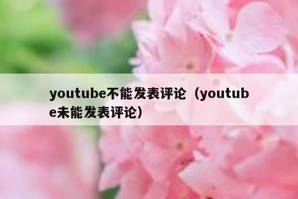 youtube不能发表评论（youtube未能发表评论） 第1张