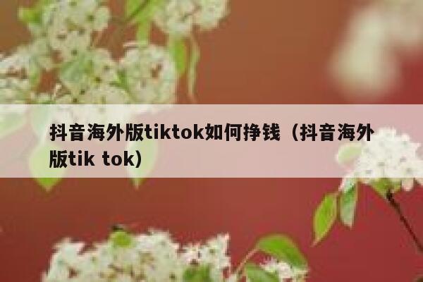 抖音海外版tiktok如何挣钱（抖音海外版tik tok） 第1张