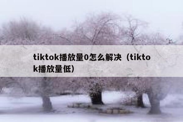 tiktok播放量0怎么解决（tiktok播放量低） 第1张