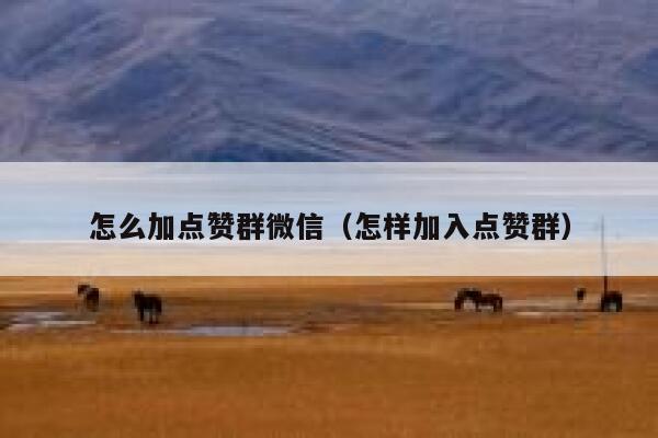 怎么加点赞群微信（怎样加入点赞群） 第1张