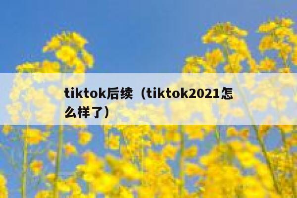 tiktok后续（tiktok2021怎么样了） 第1张