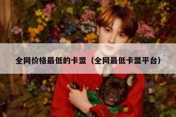 全网价格最低的卡盟（全网最低卡盟平台） 第1张
