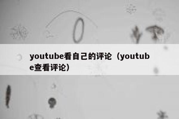 youtube看自己的评论(youtube查看评论) 第1张 youtube看自己的评论(youtube查看评论) 第1张