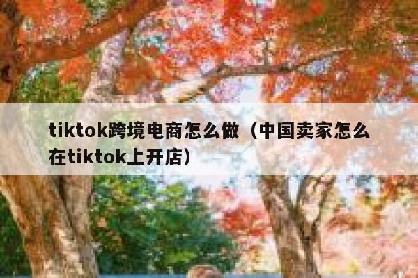 tiktok跨境电商怎么做（中国卖家怎么在tiktok上开店） 第1张