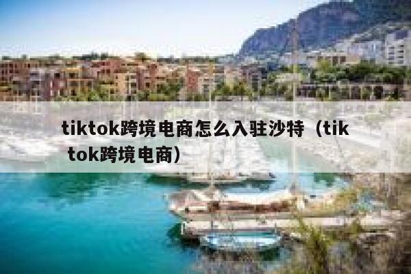 tiktok跨境电商怎么入驻沙特（tik tok跨境电商） 第1张