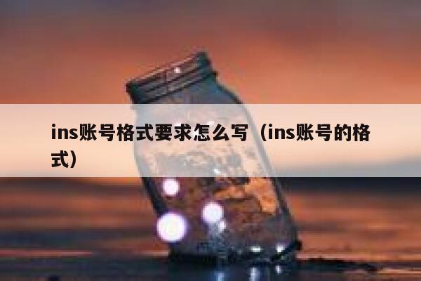ins账号格式要求怎么写（ins账号的格式） 第1张