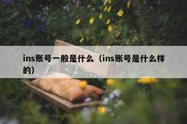 ins账号一般是什么(ins账号是什么样的) 第1张 ins账号一般是什么(ins账号是什么样的) 第1张