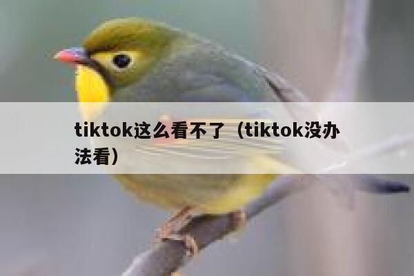 tiktok这么看不了(tiktok没办法看) 第1张 tiktok这么看不了(tiktok没办法看) 第1张