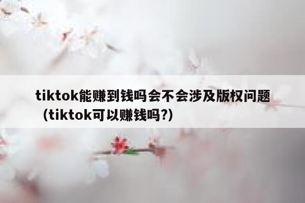 tiktok能赚到钱吗会不会涉及版权问题（tiktok可以赚钱吗?） 第1张
