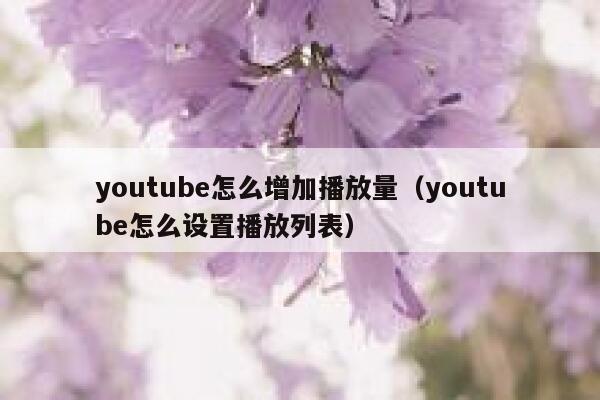 youtube怎么增加播放量(youtube怎么设置播放列表) 第1张 youtube怎么增加播放量(youtube怎么设置播放列表) 第1张