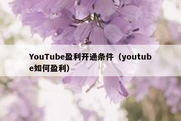 YouTube盈利开通条件（youtube如何盈利） 第1张
