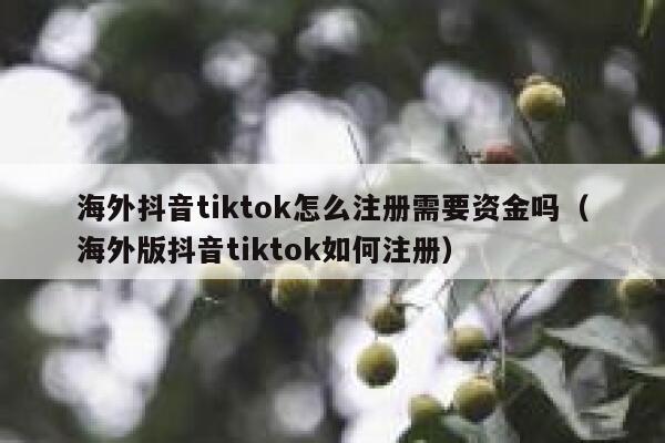 海外抖音tiktok怎么注册需要资金吗（海外版抖音tiktok如何注册） 第1张