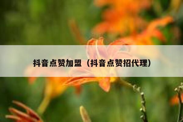 抖音点赞加盟（抖音点赞招代理） 第1张