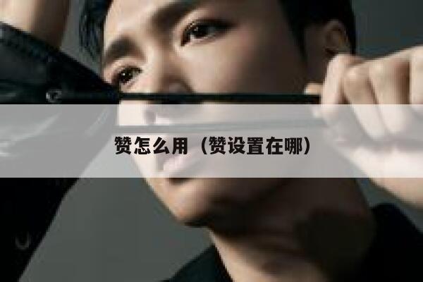 赞怎么用（赞设置在哪） 第1张