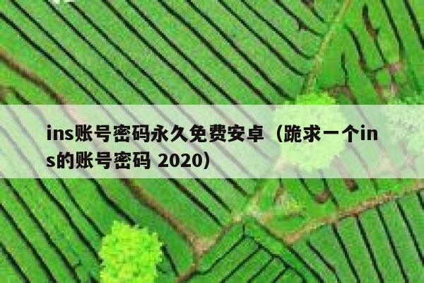 ins账号密码永久免费安卓（跪求一个ins的账号密码 2020） 第1张
