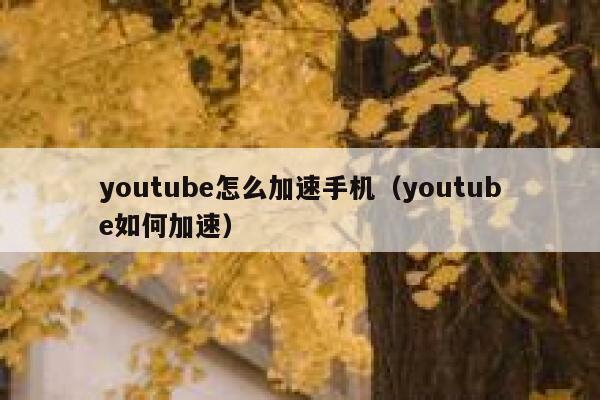 youtube怎么加速手机(youtube如何加速) 第1张 youtube怎么加速手机(youtube如何加速) 第1张