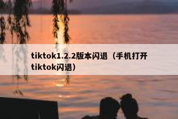 tiktok1.2.2版本闪退（手机打开tiktok闪退） 第1张
