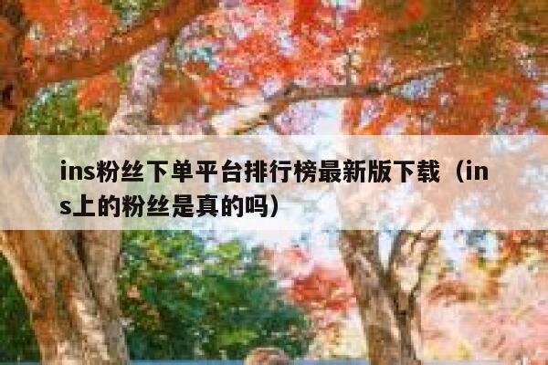 ins粉丝下单平台排行榜最新版下载（ins上的粉丝是真的吗） 第1张