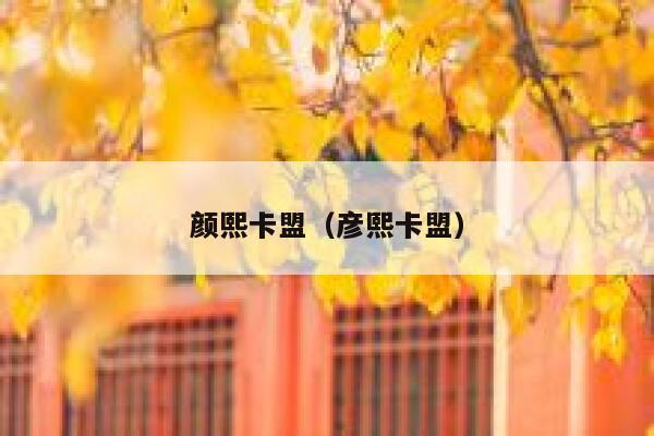 颜熙卡盟(彦熙卡盟) 第1张 颜熙卡盟(彦熙卡盟) 第1张