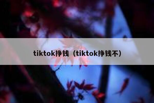tiktok挣钱（tiktok挣钱不） 第1张