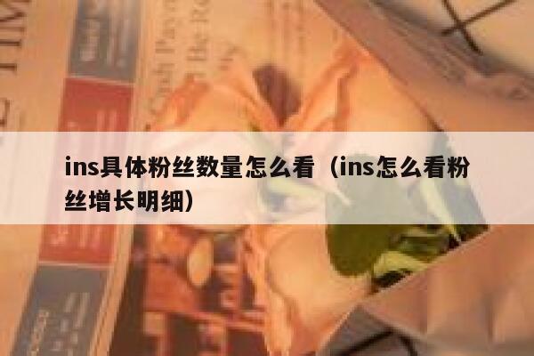 ins具体粉丝数量怎么看(ins怎么看粉丝增长明细) 第1张 ins具体粉丝数量怎么看(ins怎么看粉丝增长明细) 第1张